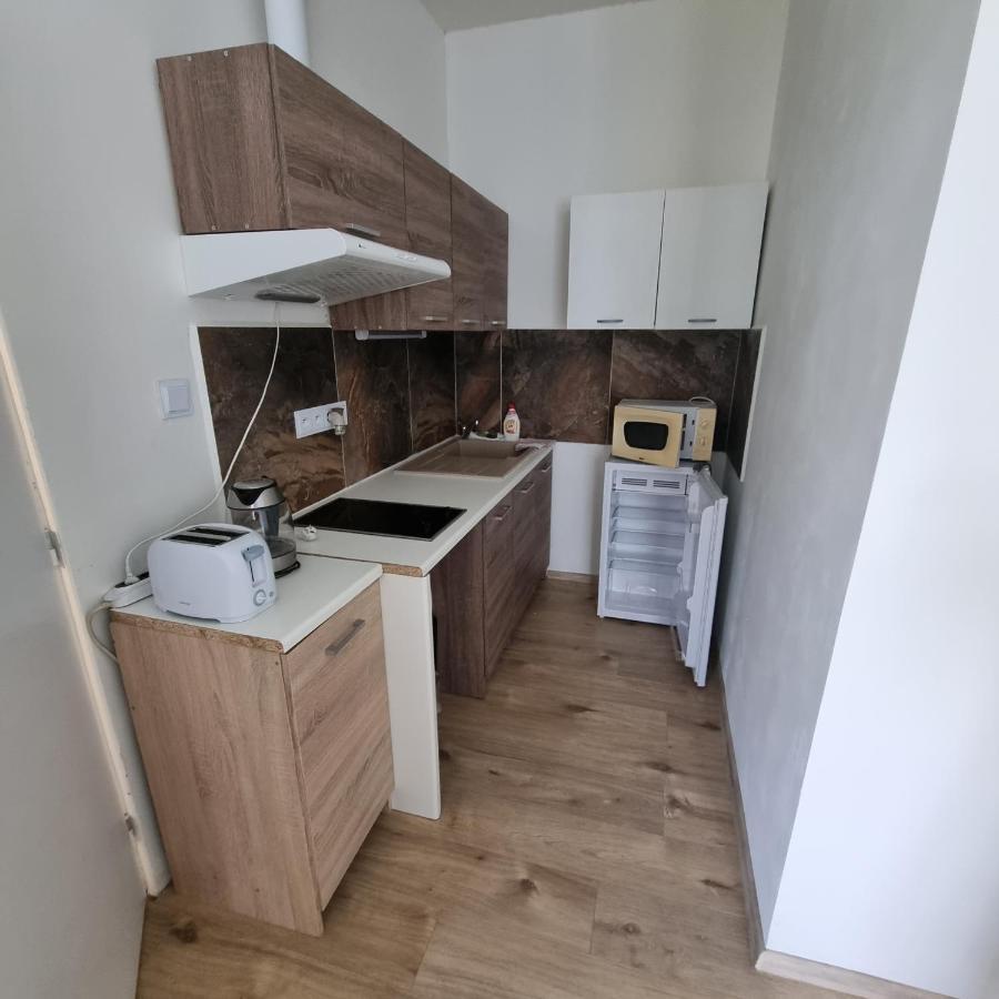 Apartment Porta Terezín 外观 照片